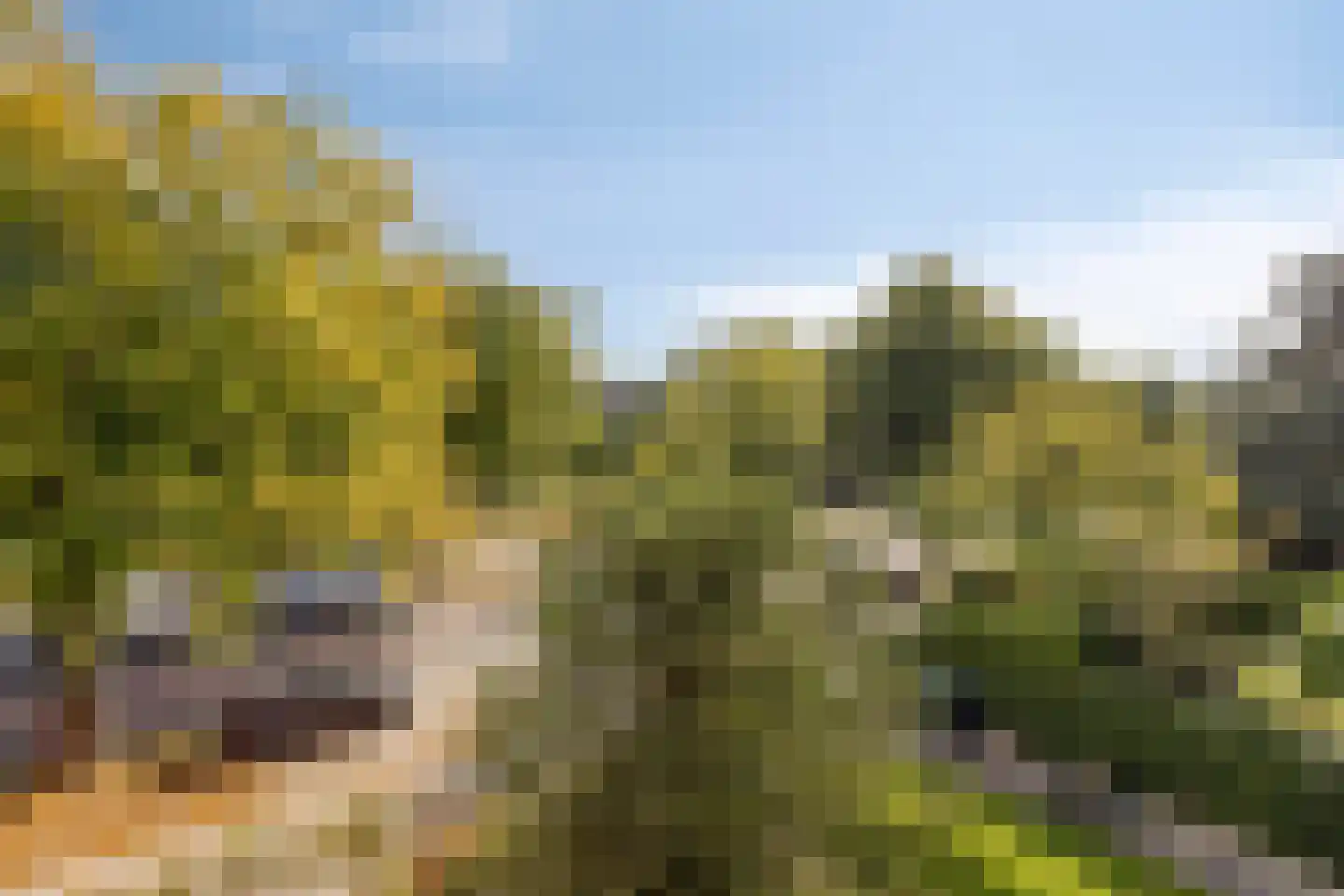 Ceintuurbaan 245 Bussum thumbnail 45