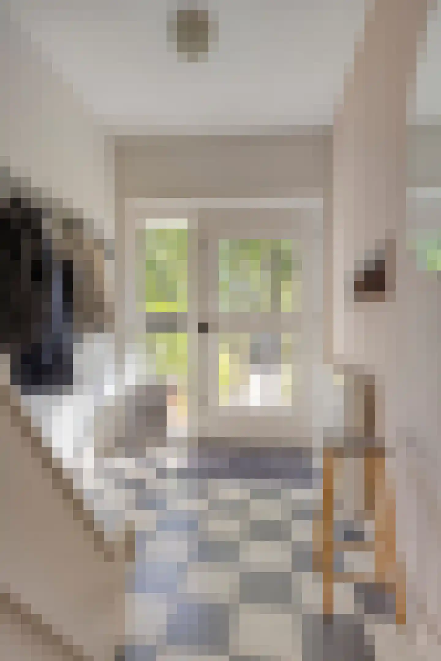 Ceintuurbaan 245 Bussum thumbnail 5