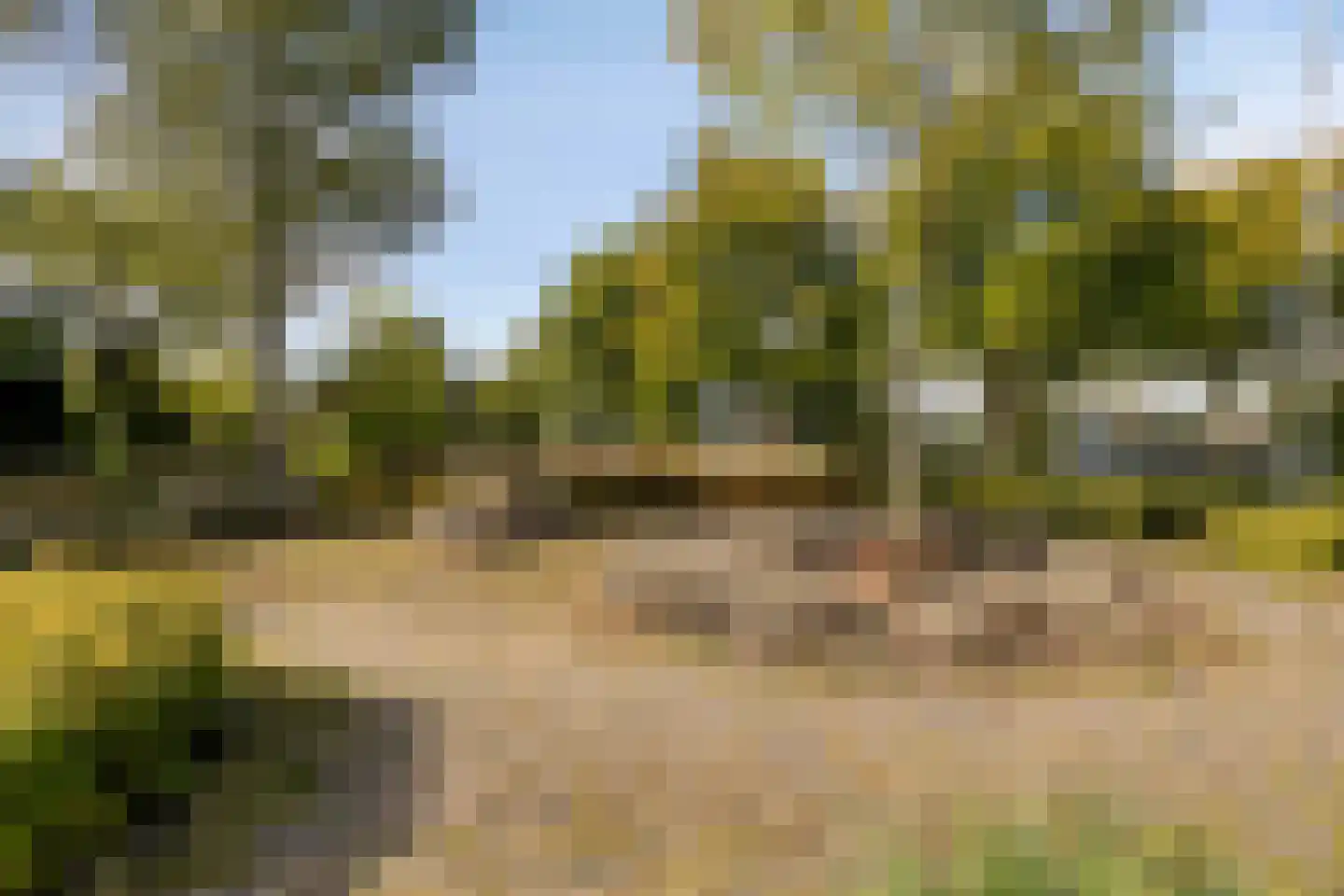 Ceintuurbaan 245 Bussum thumbnail 51