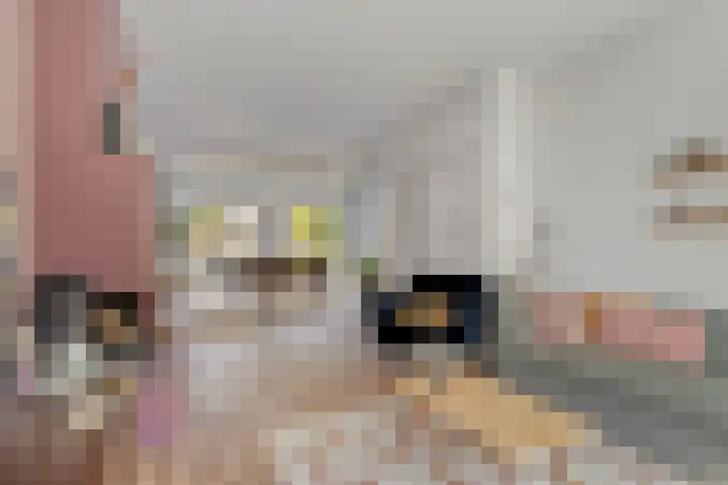 Ceintuurbaan 245 Bussum thumbnail 8