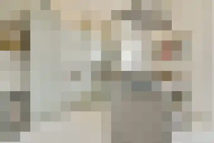 Ceintuurbaan 250 3 Amsterdam thumbnail 19
