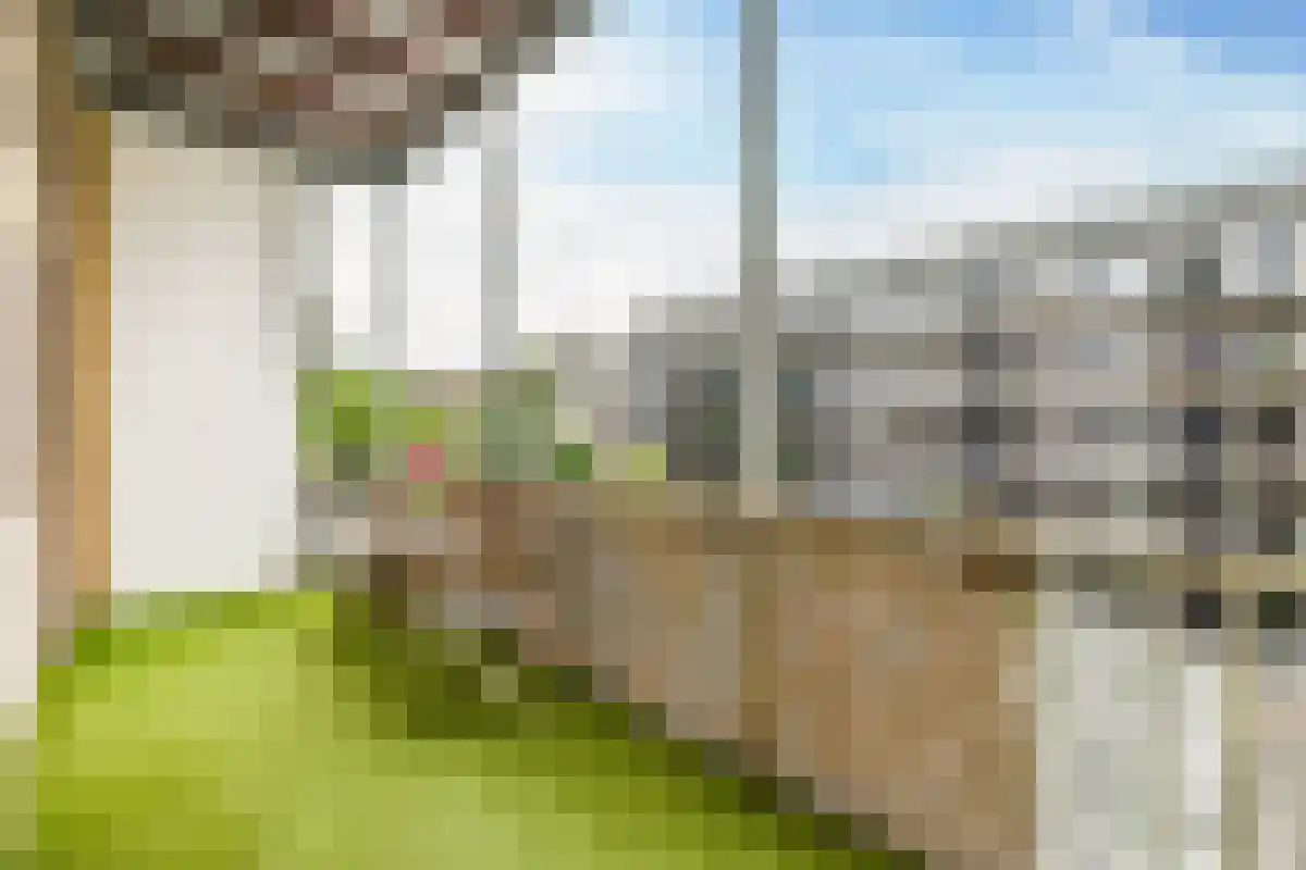 Ceintuurbaan 252 Amsterdam thumbnail 6