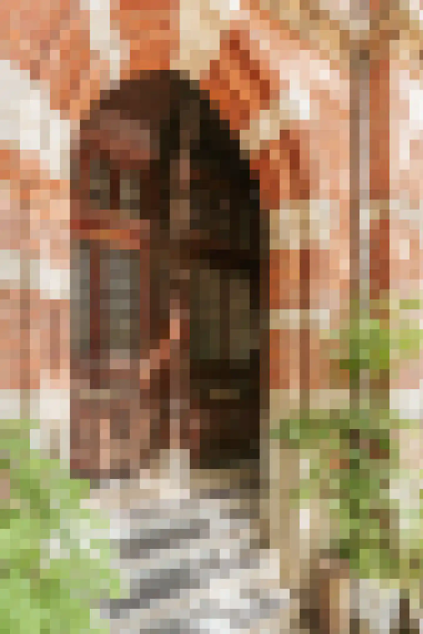 Ceintuurbaan 253 2 Amsterdam thumbnail 37