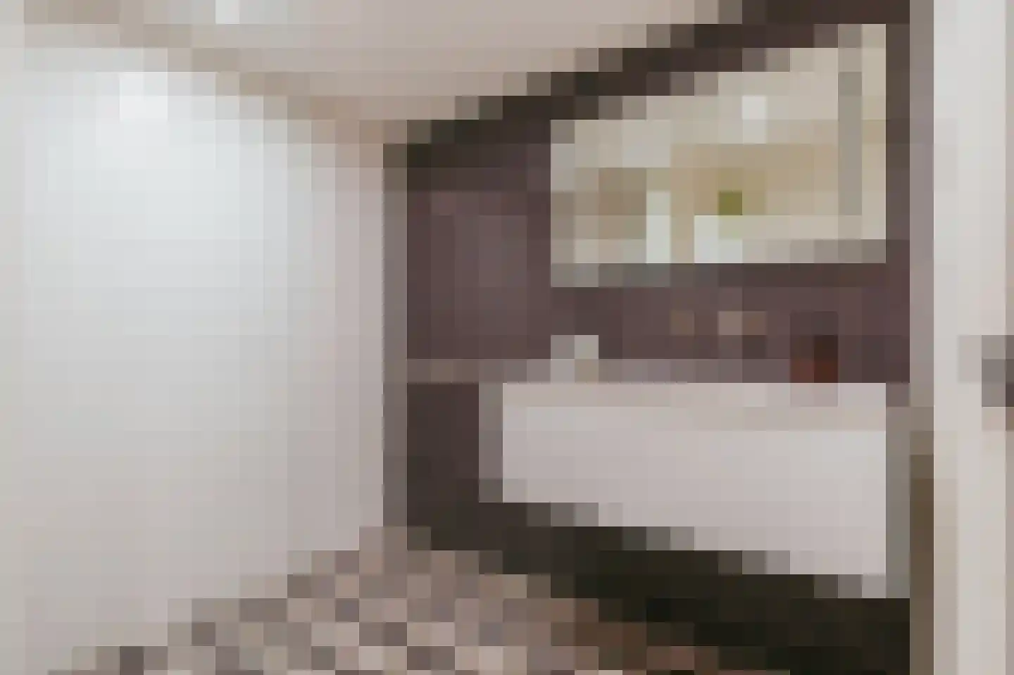 Ceintuurbaan 253 3 Amsterdam thumbnail 32