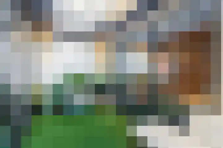 Ceintuurbaan 254 3 Amsterdam thumbnail 17