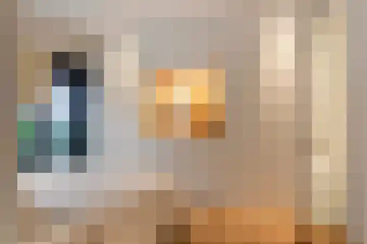 Ceintuurbaan 254 3 Amsterdam thumbnail 20