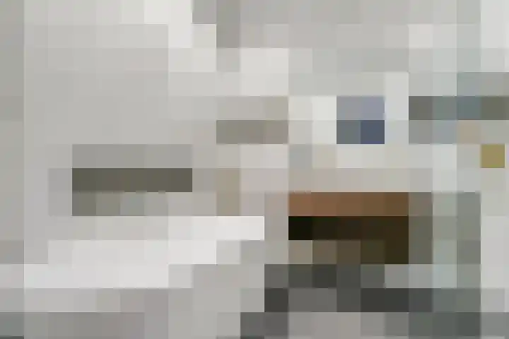 Ceintuurbaan 254 3 Amsterdam thumbnail 21