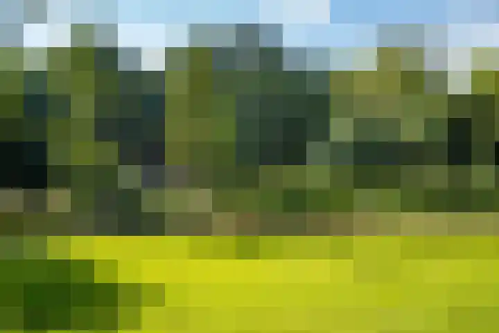 Ceintuurbaan 254 3 Amsterdam thumbnail 30