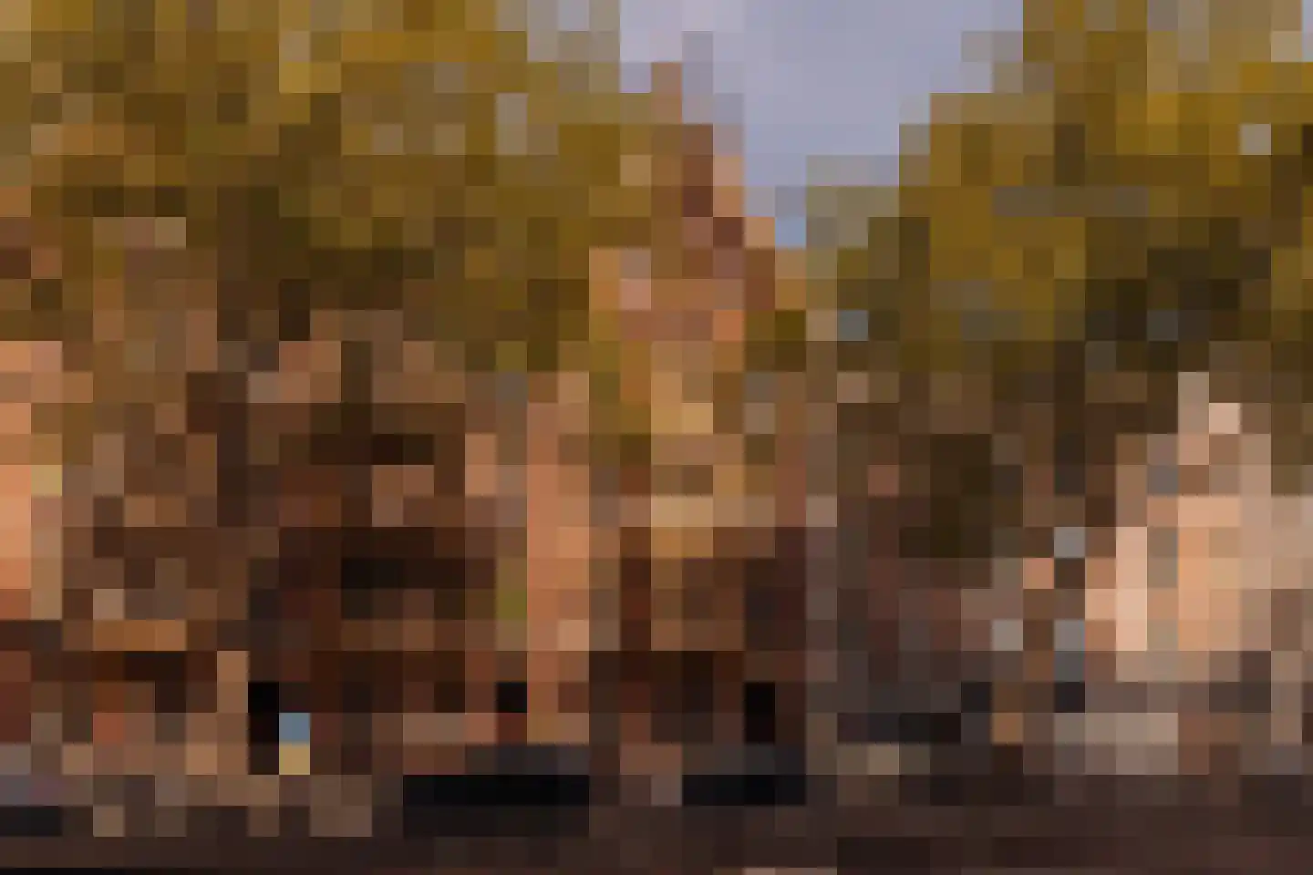 Ceintuurbaan 255 4 Amsterdam thumbnail 4
