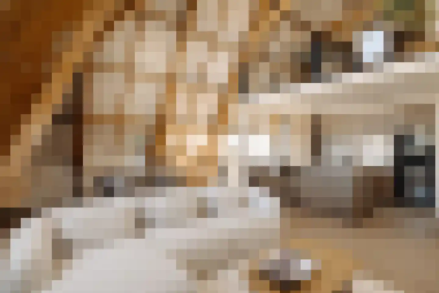 Ceintuurbaan 255 4 Amsterdam thumbnail 7