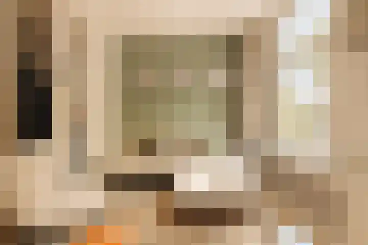Ceintuurbaan 257 2 Amsterdam thumbnail 14