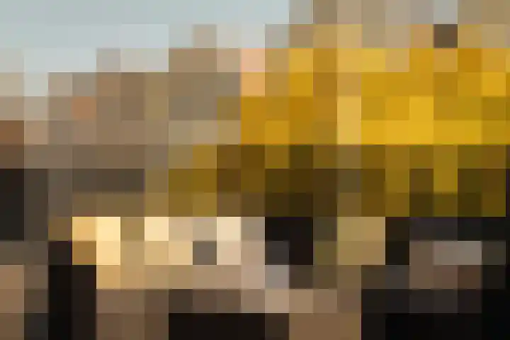 Ceintuurbaan 257 2 Amsterdam thumbnail 24