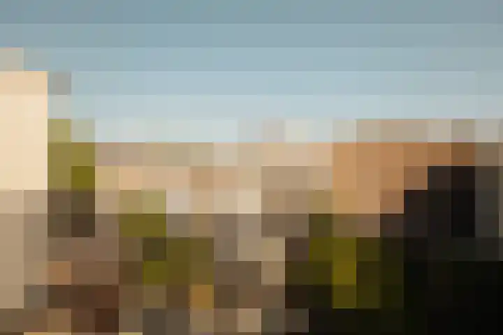 Ceintuurbaan 257 2 Amsterdam thumbnail 25