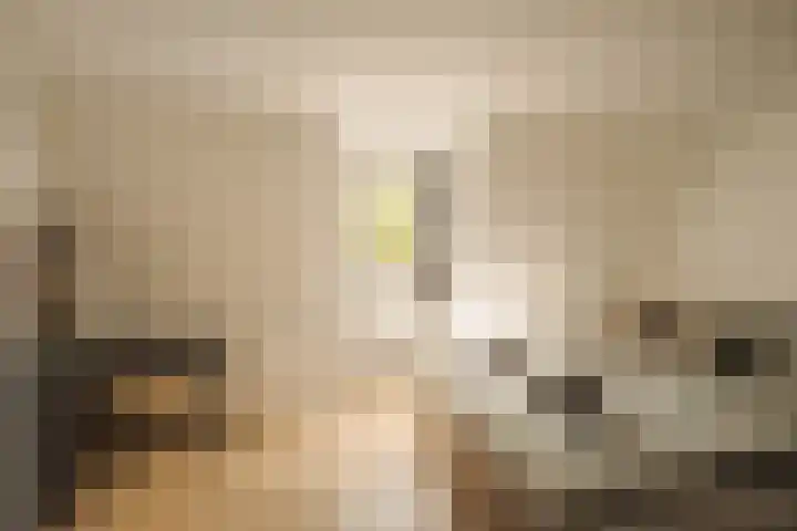Ceintuurbaan 257 2 Amsterdam thumbnail 27