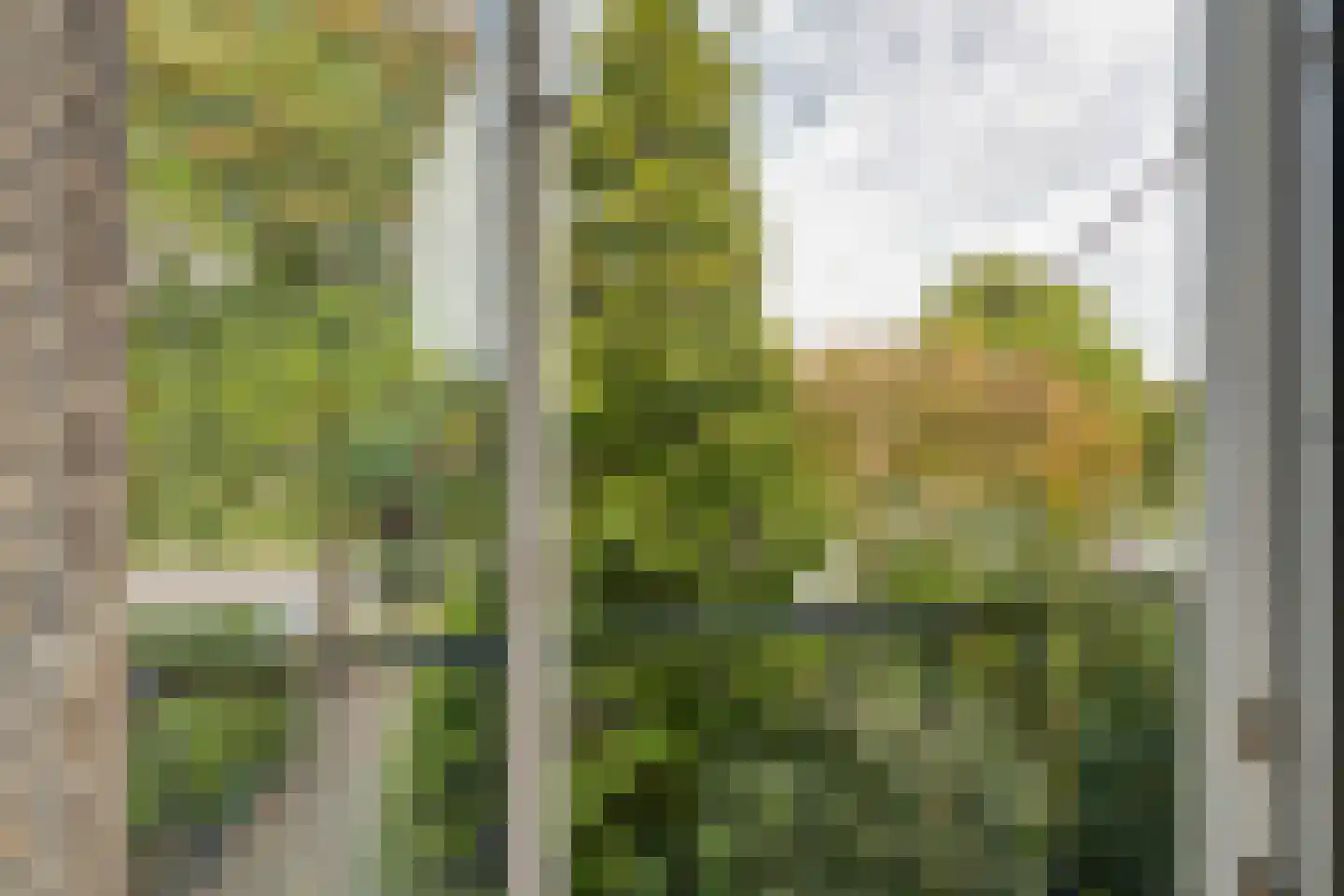 Ceintuurbaan 26 I Bussum thumbnail 10