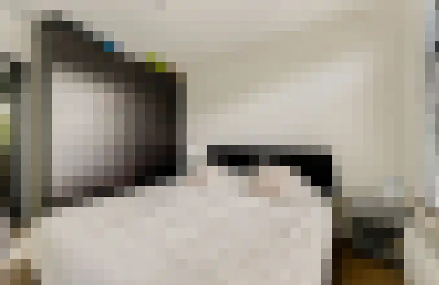 Ceintuurbaan 26 I Bussum thumbnail 13