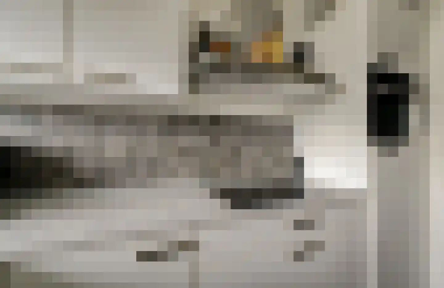 Ceintuurbaan 26 I Bussum thumbnail 20