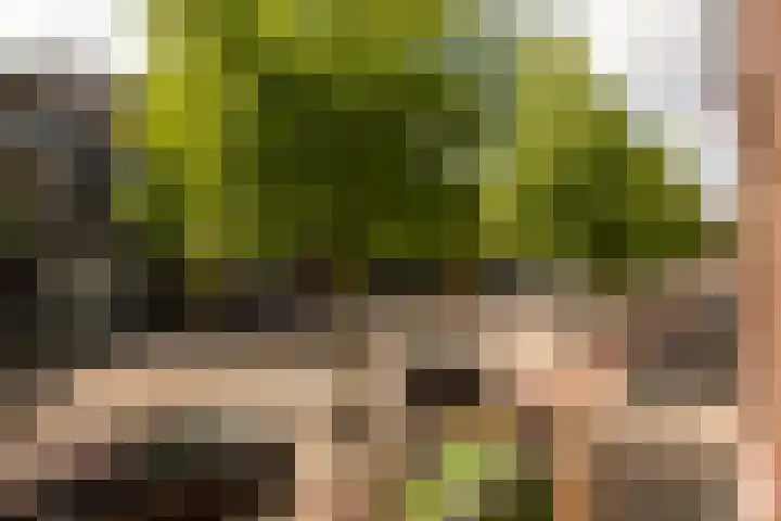Ceintuurbaan 27 H Amsterdam thumbnail 16