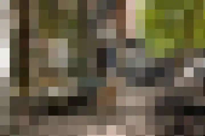 Ceintuurbaan 27 H Amsterdam thumbnail 31