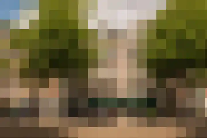 Ceintuurbaan 27 H Amsterdam thumbnail 5