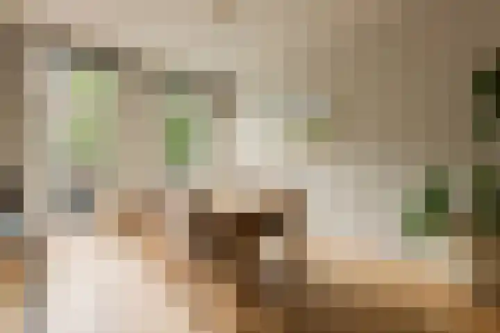 Ceintuurbaan 27 H Amsterdam thumbnail 9