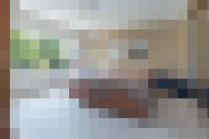 Ceintuurbaan 271 Bussum thumbnail 20