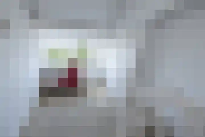 Ceintuurbaan 271 Bussum thumbnail 30