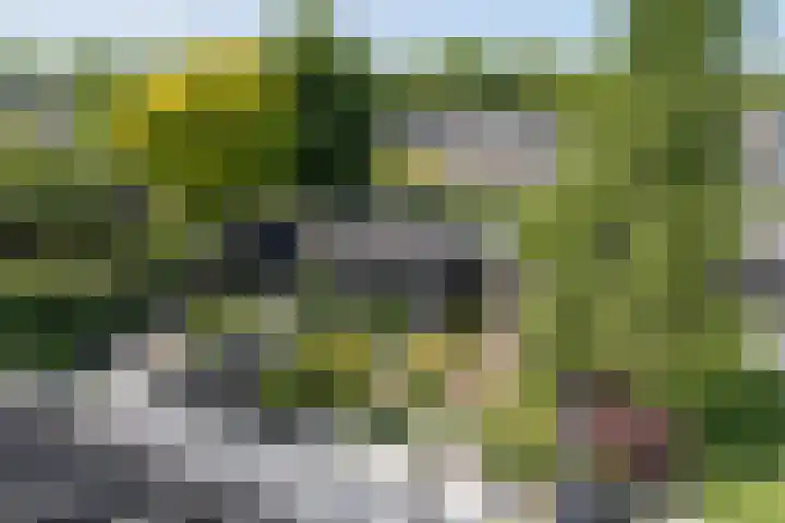 Ceintuurbaan 271 Bussum thumbnail 31