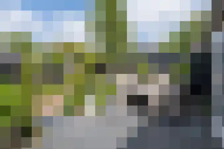 Ceintuurbaan 271 Bussum thumbnail 32