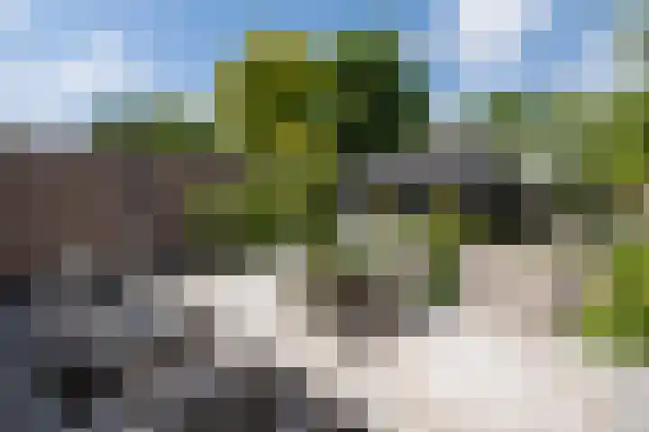 Ceintuurbaan 271 Bussum thumbnail 33