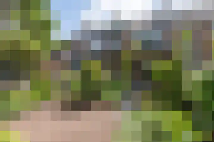 Ceintuurbaan 271 Bussum thumbnail 34