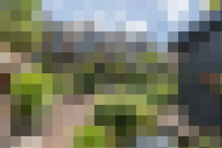 Ceintuurbaan 271 Bussum thumbnail 37