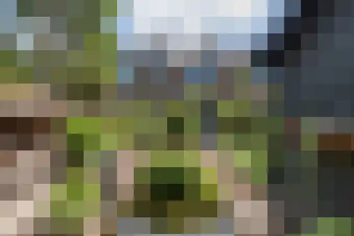 Ceintuurbaan 271 Bussum thumbnail 38