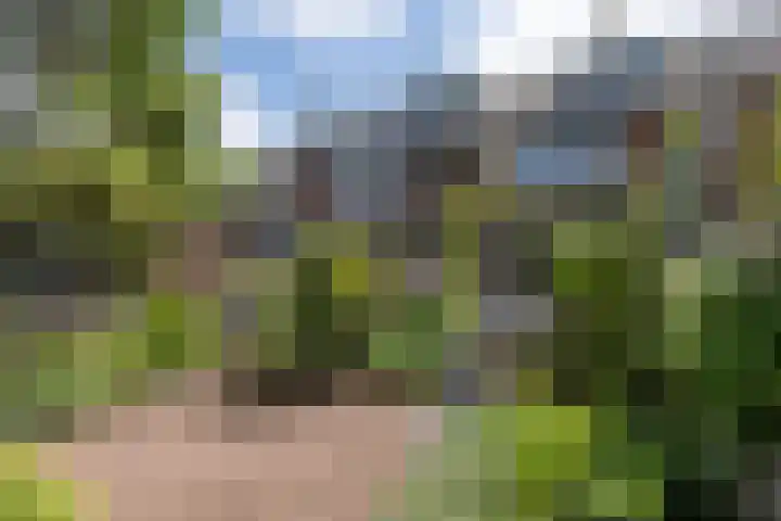 Ceintuurbaan 271 Bussum thumbnail 39