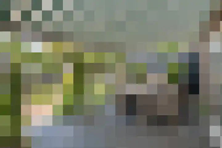 Ceintuurbaan 271 Bussum thumbnail 41