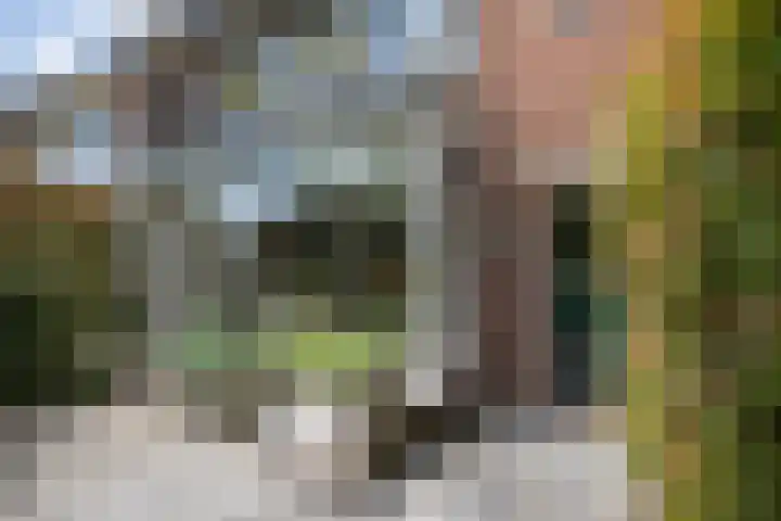 Ceintuurbaan 271 Bussum thumbnail 42