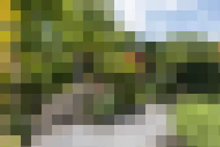Ceintuurbaan 271 Bussum thumbnail 43