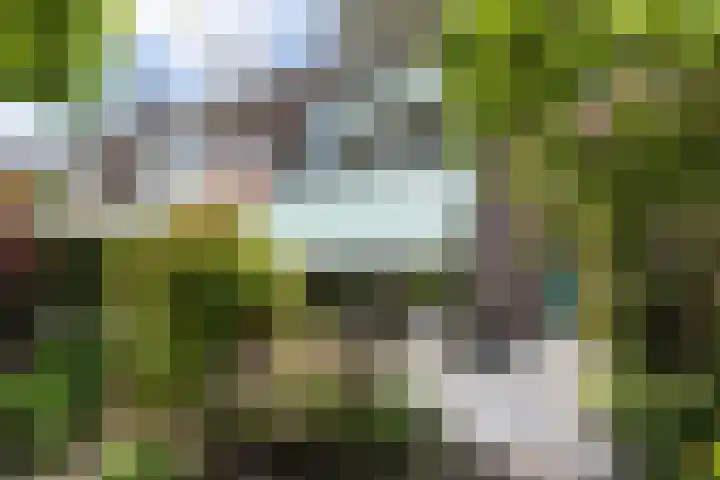 Ceintuurbaan 271 Bussum thumbnail 44
