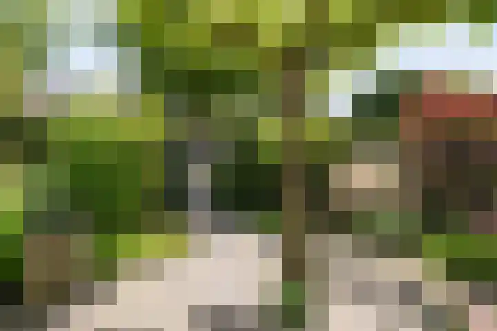 Ceintuurbaan 271 Bussum thumbnail 45