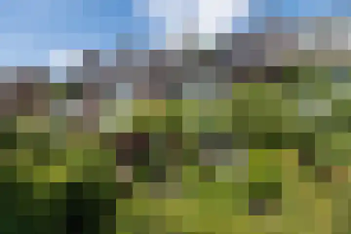 Ceintuurbaan 271 Bussum thumbnail 46