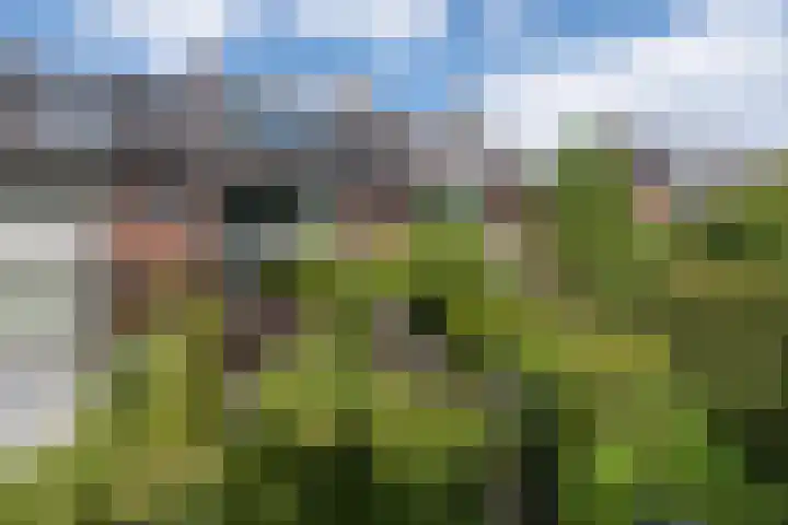 Ceintuurbaan 271 Bussum thumbnail 47