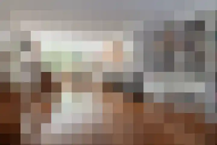 Ceintuurbaan 271 Bussum thumbnail 5