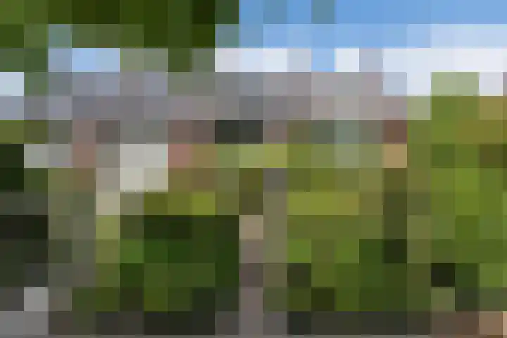 Ceintuurbaan 271 Bussum thumbnail 50