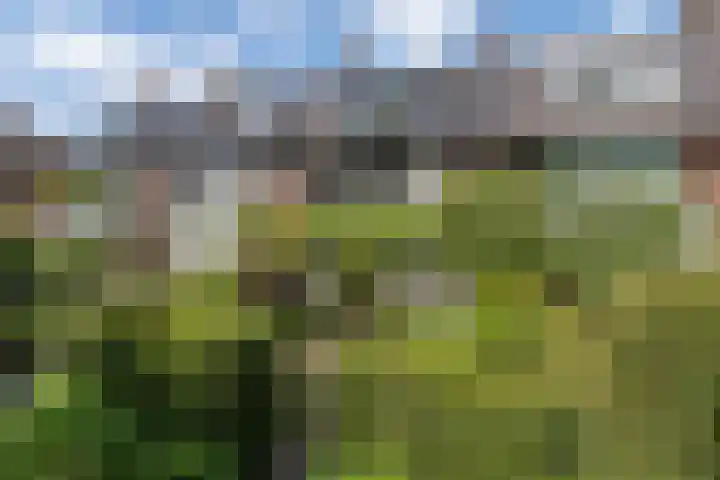 Ceintuurbaan 271 Bussum thumbnail 51