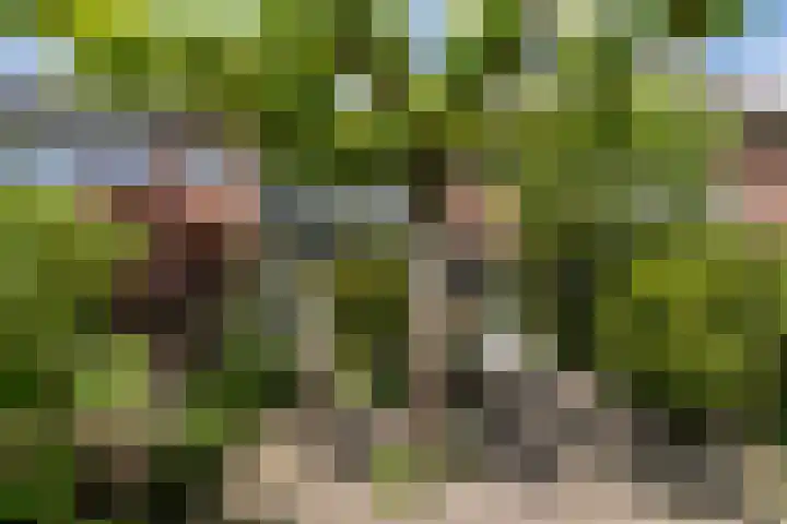 Ceintuurbaan 271 Bussum thumbnail 57