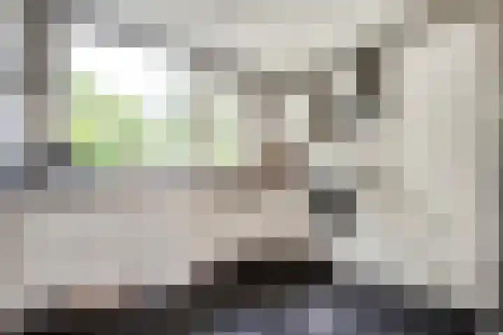 Ceintuurbaan 28 Raalte thumbnail 15