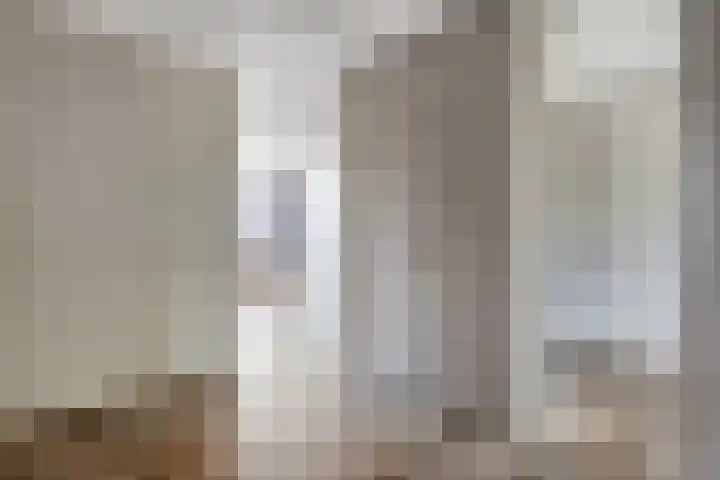 Ceintuurbaan 28 Raalte thumbnail 19