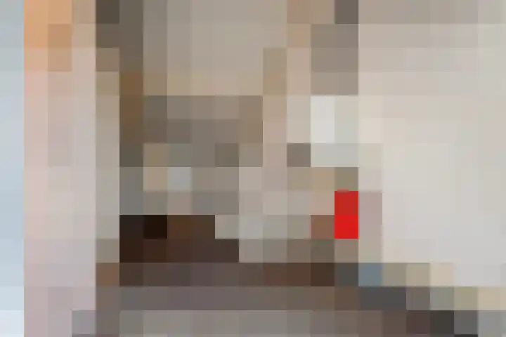 Ceintuurbaan 28 Raalte thumbnail 26