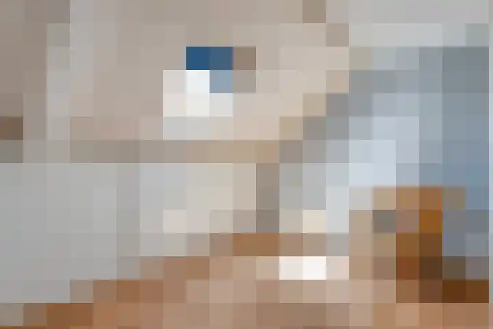 Ceintuurbaan 28 Raalte thumbnail 28