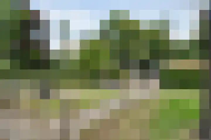 Ceintuurbaan 28 Raalte thumbnail 37